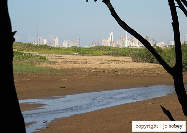 A view of Durban from Beachwood Mangroves Nature Reserve