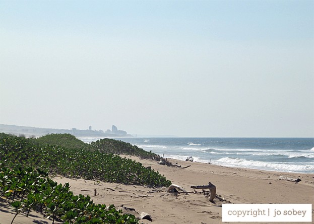 View of Umhlanga from Beachwood Mangroves Nature Reserve