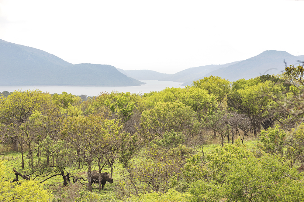 The quiet Somkhanda bush, set high above its noisier neighbour, Jozini Dam. Photo by Teagan Cunniffe