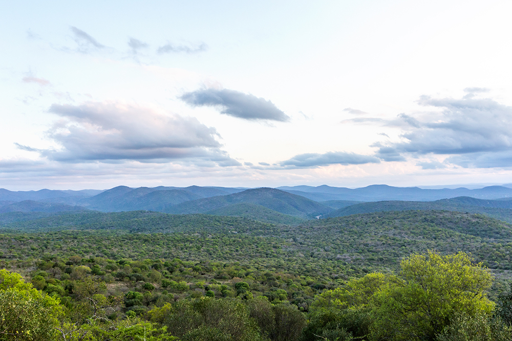 View over Somkanda Game Reserve. Photo by Teagan Cunniffe.