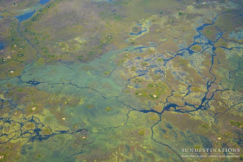 An aerial capture of the magnificent Okavango Delta.