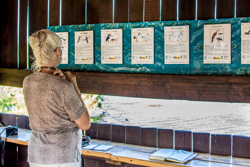 A visitor looks over the bird posters inside a hide at Wakkerstroom.