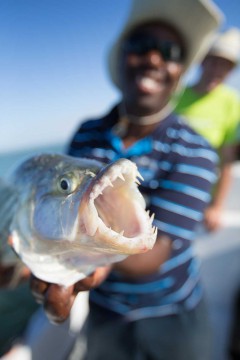 Youâ€™ll struggle to find a better place in South Africa to catch tiger fish