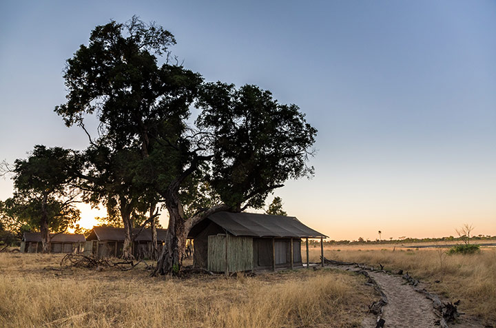 The discreetly spaced chalets at Davisonâ€™s Camp face the pan under the shade of leafy African rosewood (false mopane) trees. Image by Chris Davies.