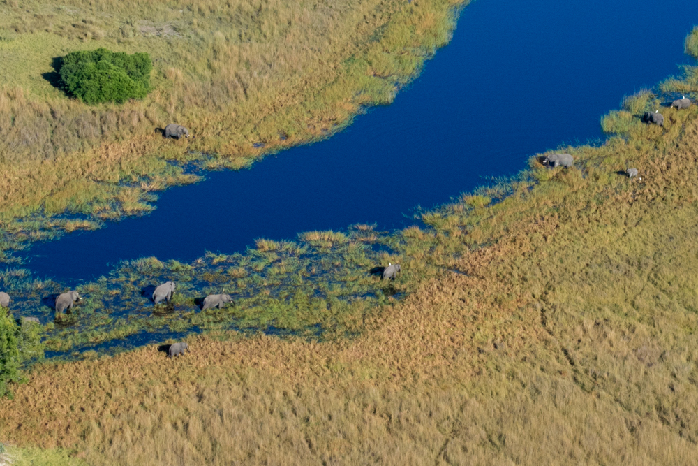 Okavango Delta Aerials - Melanie van Zyl-13