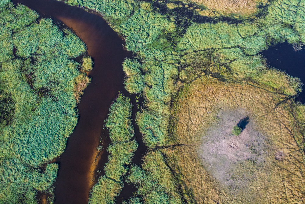 Okavango Delta Aerials - Melanie van Zyl-14