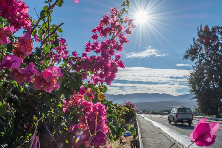 The bougainvillea-braided bridge makes for a beautiful entrance to the town. Photo by Melanie van Zyl. 