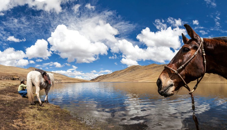 Lake Quellacocha, Peru lies at an altitude of 4350 metres. Image by Teagan Cunniffe.