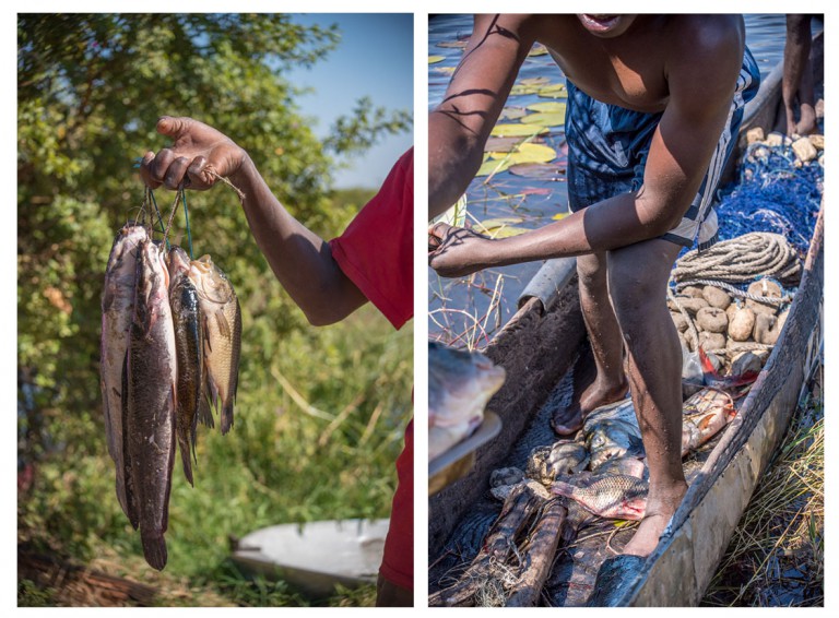 Fishermen show off their wares at Impalila Island. Photo by Melanie van Zyl. 