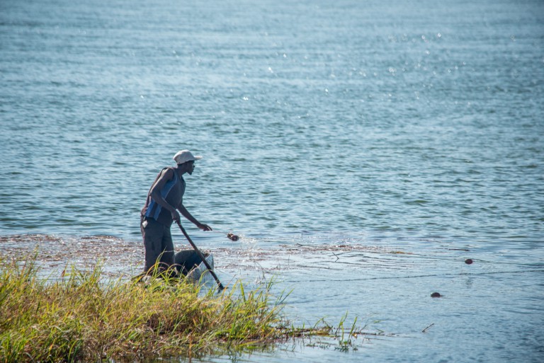 A local fisherman casts out his net near Ngepi Camp. Photo by Melanie van Zyl