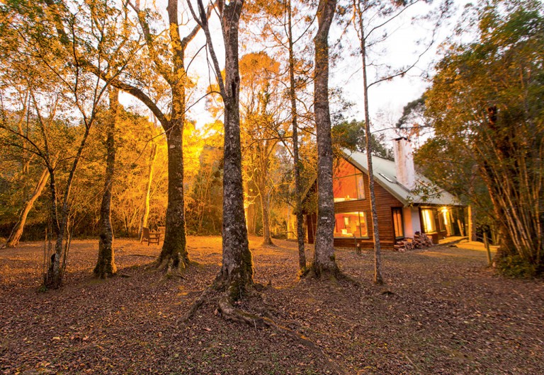 Rockwood Forest Lodge in the Karkloof Nature Reserve. Photo by Teagan Cunniffe. 