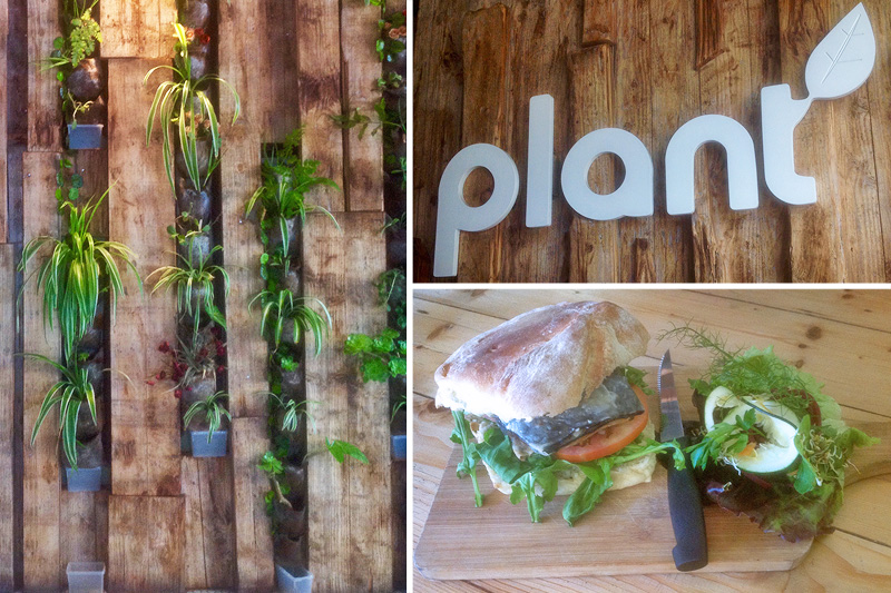 Plant Restaurant - Photos by Rachel Robinson