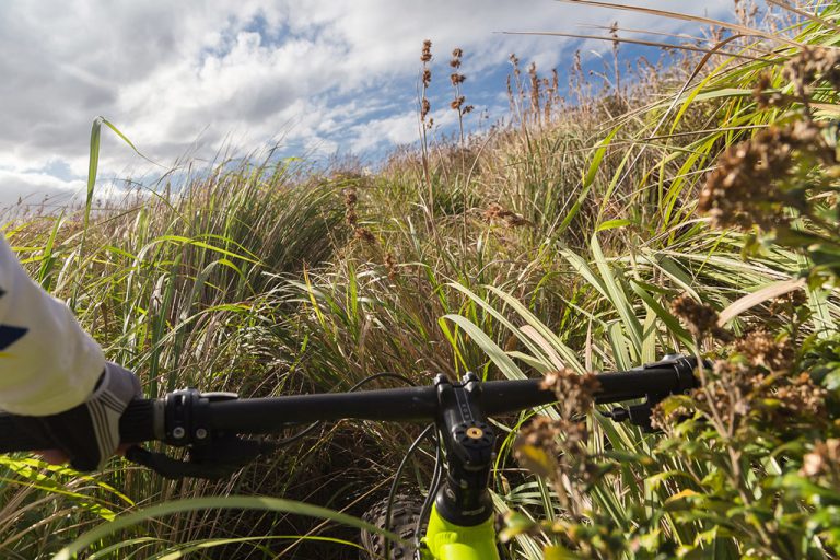 Short sections of the Dwesa trail are overgrown and forcing us to bash our way through tall grass and reeds.