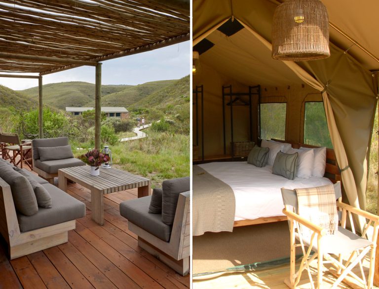 The communal area and luxury tents at Gondwana Eco Camp.