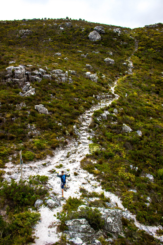 The final hurdle. The white sandy path - a clue to the mountainâ€™s geological history - led us over the ridges of the 12 Apostles, past the Old Cableway and Tranquillity Cracks, and down Table Mountain where we finished our microadventure, fatigued but wholeheartedly inspired. Photo by Matthew Sterne 