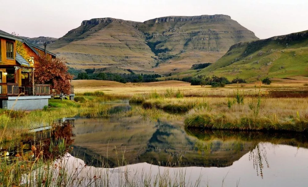 Digital Detox: Escape the hustle and bustle at these getaways