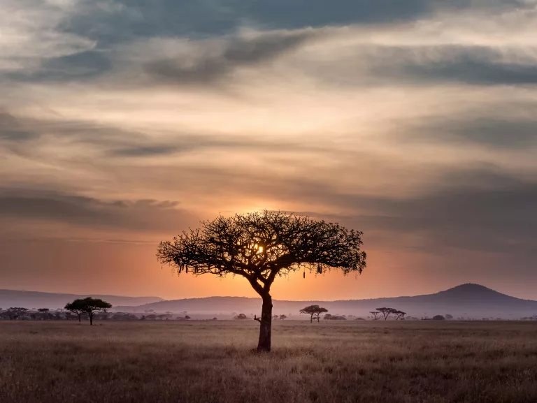 South Africa’s bucket-list adventures, ranked by iconic status