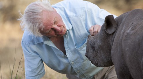 David Attenborough: A Life On Our Planet is a word of warning and hope