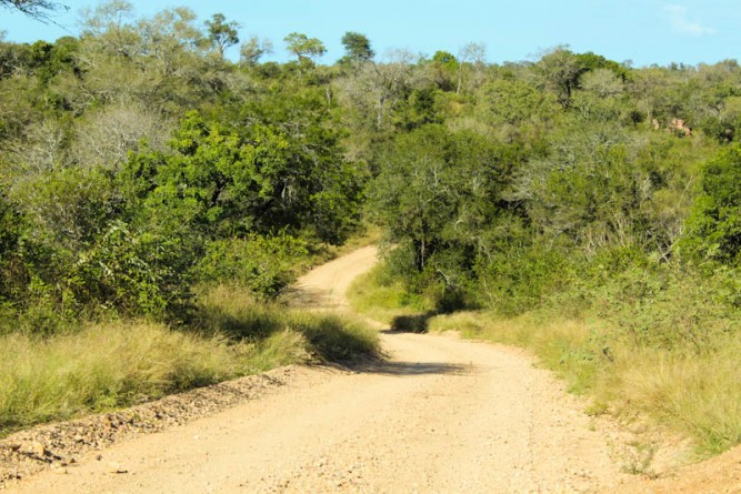 Accommodation, Kruger National Park, Biyamiti Bushveld Camp