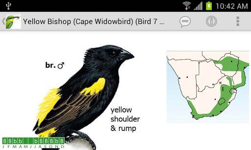 Sasol eBirds of Southern Africa App