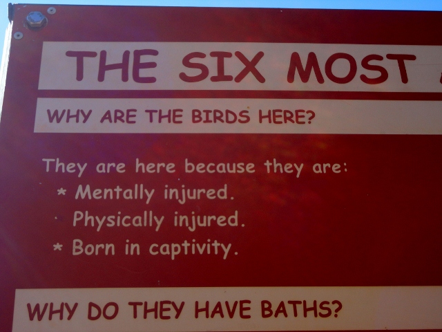 Visitor information at the Birds of Prey Centre-9