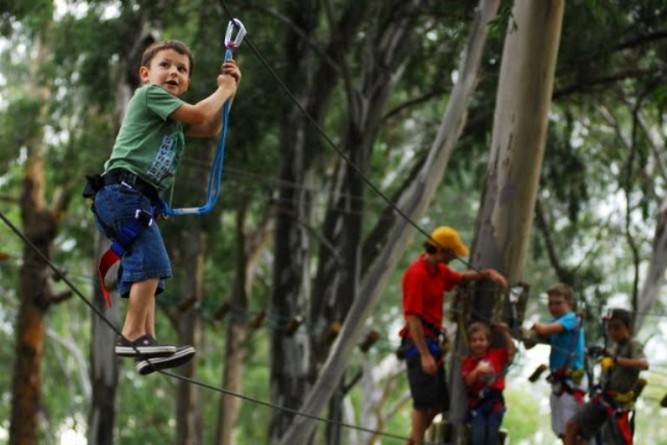 Kids, school holidays, Cape Town, acrobranching