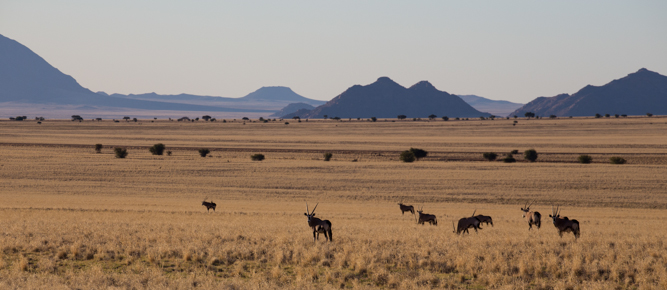 Southern Namibia