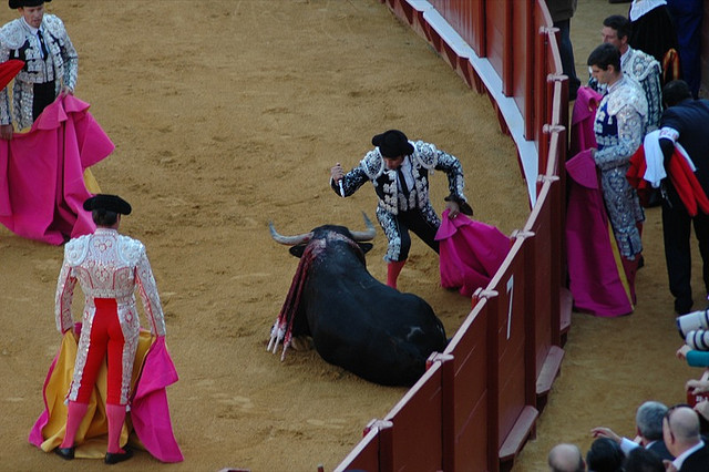 bullrun-san-fermin-festival-bullfighting-4