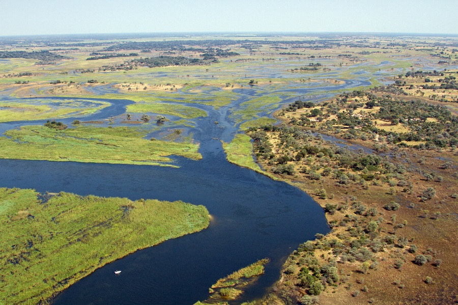 Okavango River. By Mark Paxton