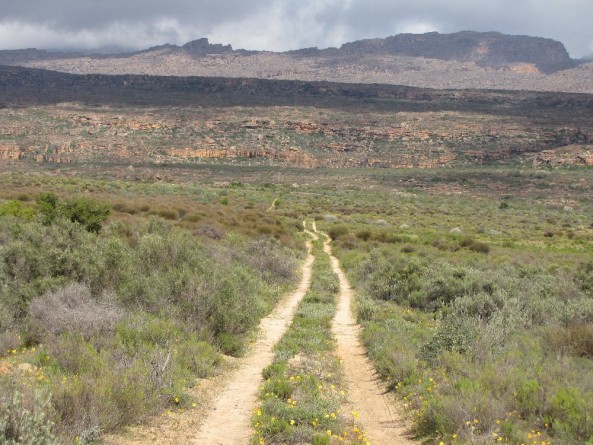 The road less travelled in the Cederberg