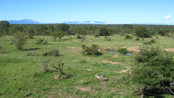Habitat and vegetation of the Klaserie
