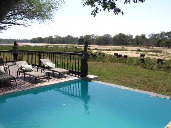 Pool at Umkumbe Safari Lodge