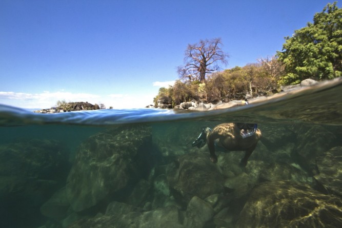 Lake Malawi, underwater photography