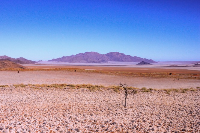 desert Namibia