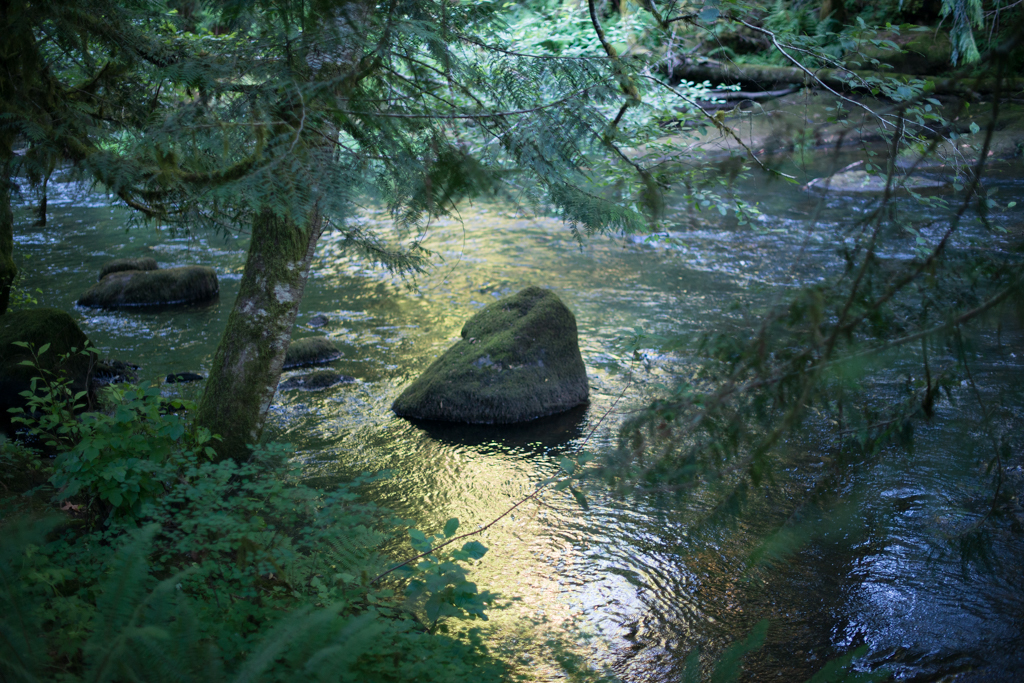 Still waters run deep. Oregon. Photo by Patrick John O'Doherty.