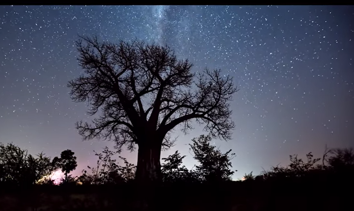 Time lapse of a starry evening in Livingstone, Zambia.
