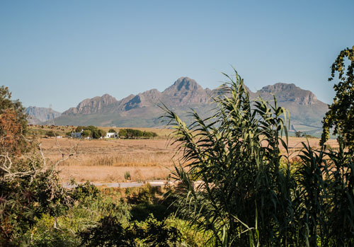 Beautiful Stellenbosch mountains surround Spier wine estate.