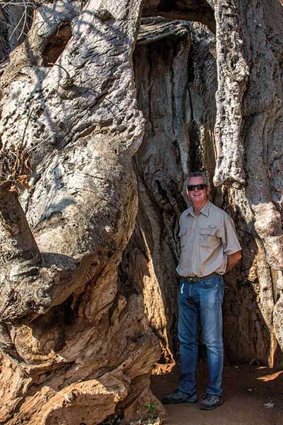 The writers father stands inside the Kasane Prison Baobab Postal Tree, which was sealed and used as a cell in the 1800s