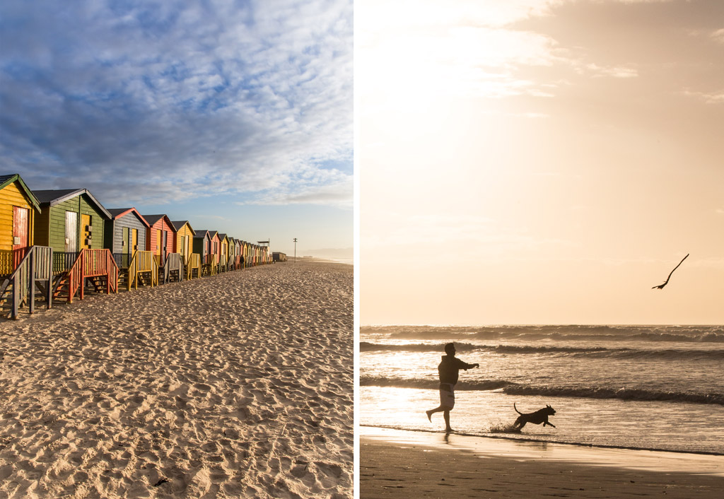 Muizenberg is a great spot for an early morning dog walk. Images by Chris Davies.