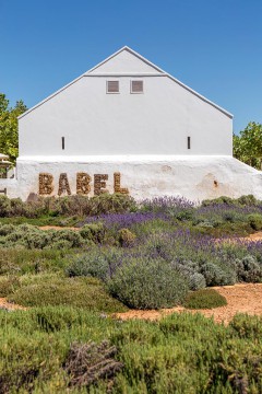 Babylonstoren is a must-do for any visitor to the Boland, with its fabulous Babel restaurant.