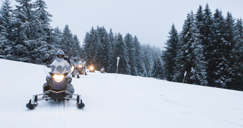 Nothing quite like riding a snow mobile through a snow dusted alpine forest.