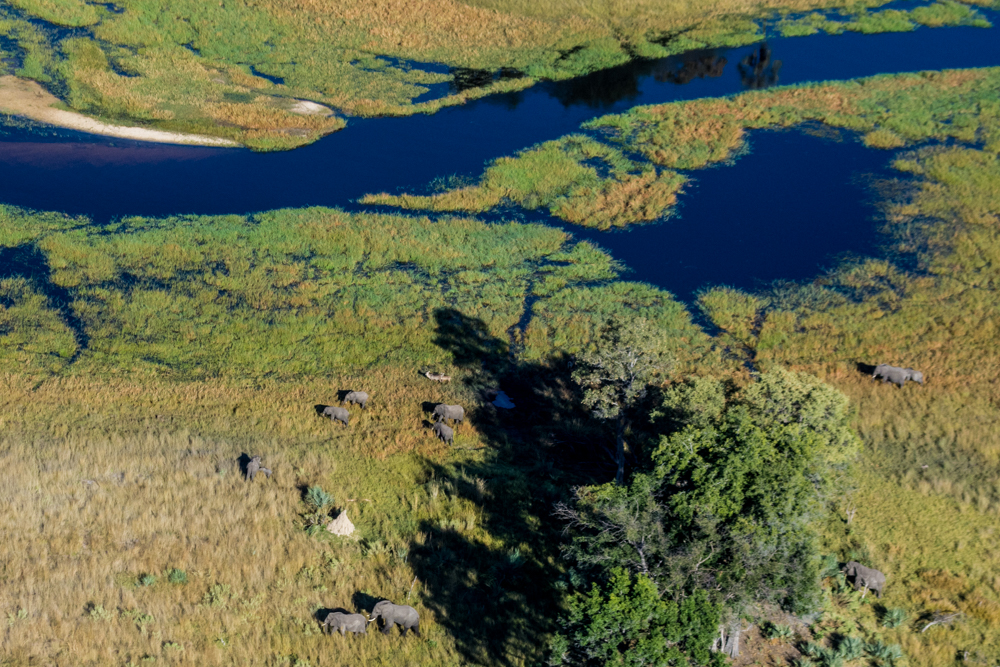 Okavango Delta Aerials - Melanie van Zyl-11