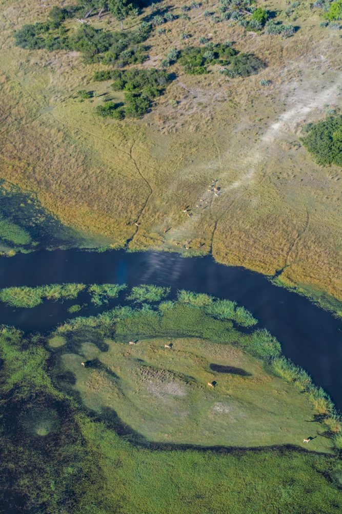 Okavango Delta Aerials - Melanie van Zyl-15