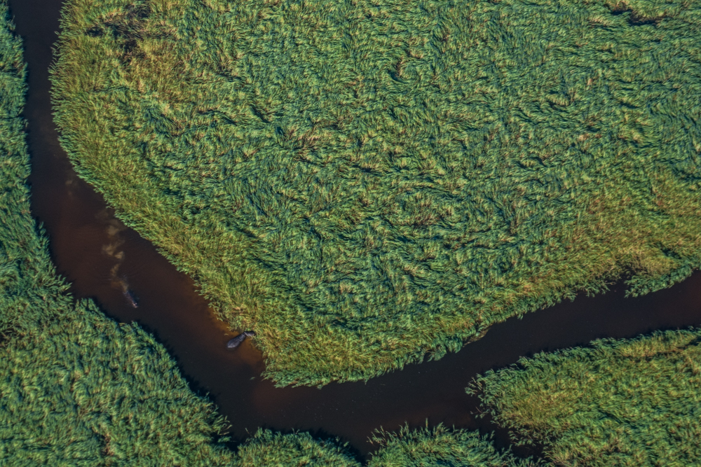 Okavango Delta - Melanie van Zyl -1-2