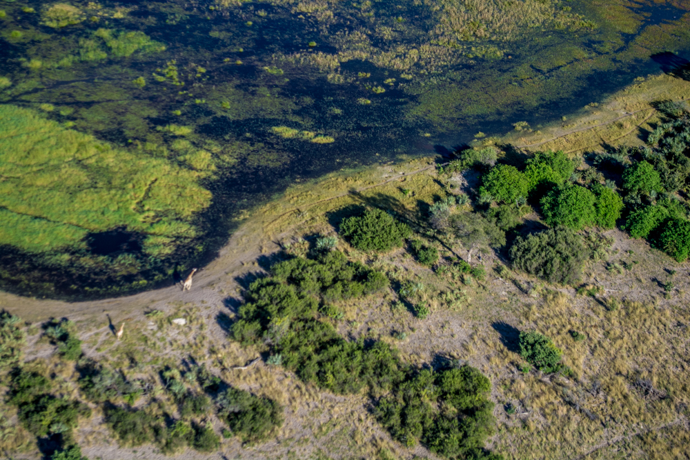Okavango Delta - Melanie van Zyl -1