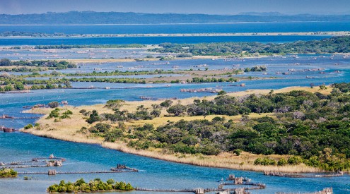 Isimangaliso and St. Lucia stays