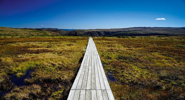 A boardwalk bisects a wetland area within the upper reaches of the glorious Gaspesie National Park.