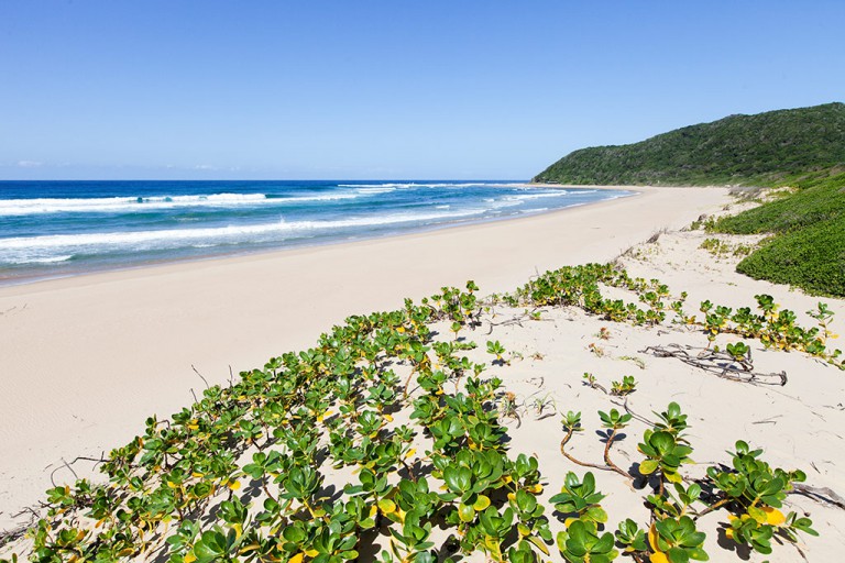 The beach at Bhanga Nek near Kosi Bay with coastal forest and dunes and Indian Ocean.