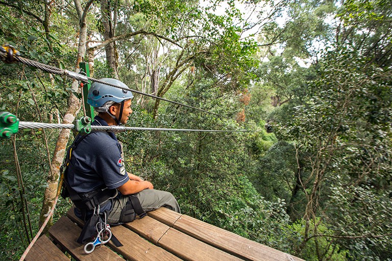 A Tsitsikamma canopy tour zips 30 metres above the ground