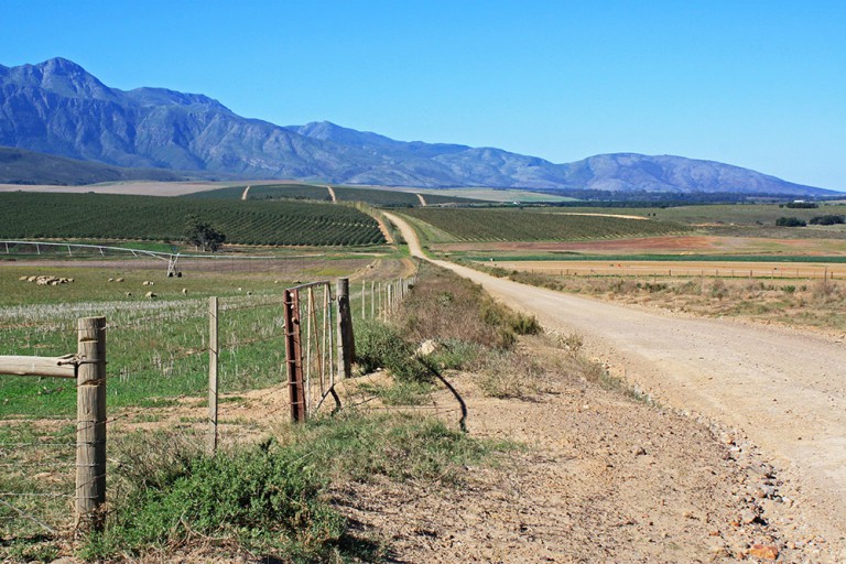 The Overberg is full of gorgeous little country roads to explore. Photo by Rachel Robinson. 